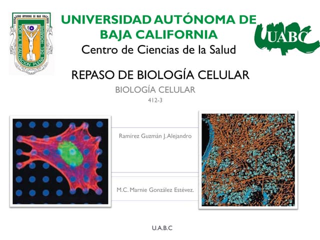 PresentaciónRepaso de Biología Celu...
