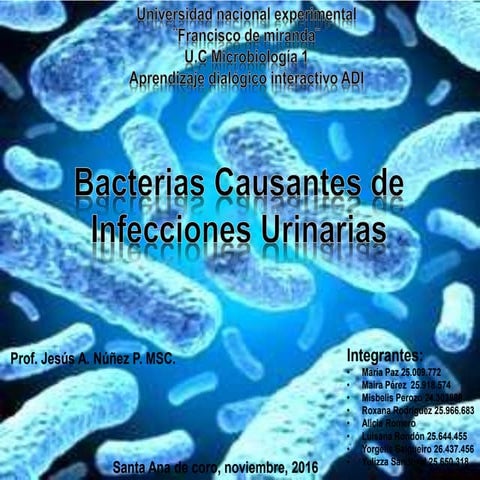 bactenuria, funguria y parasitosis .pptx