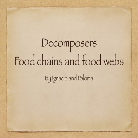 ECOSYSTEMS BY PALOMA & IGNACIO