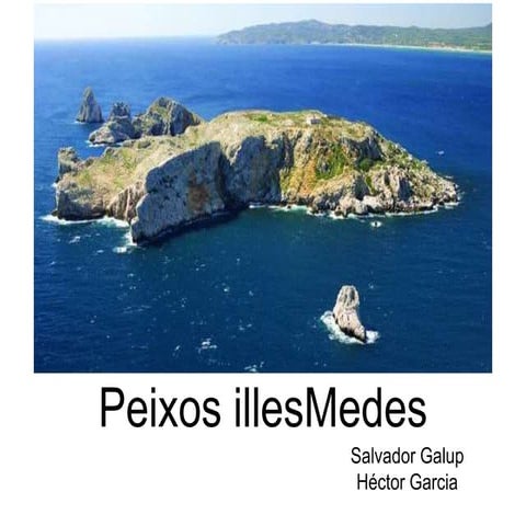 Peixos illes medes