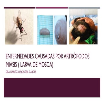 Miasis | PPTX
