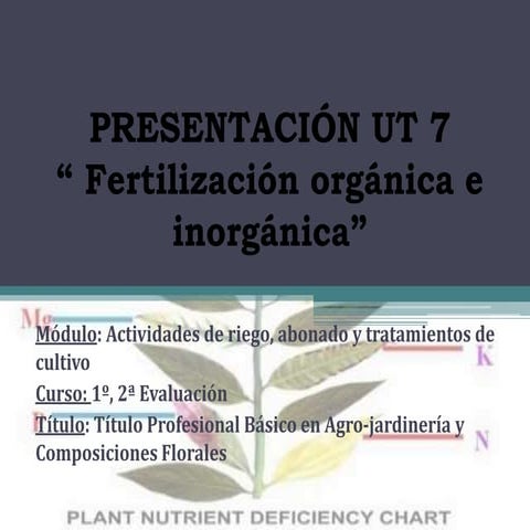 PRESENTACIÓN ABONO 1.pptx