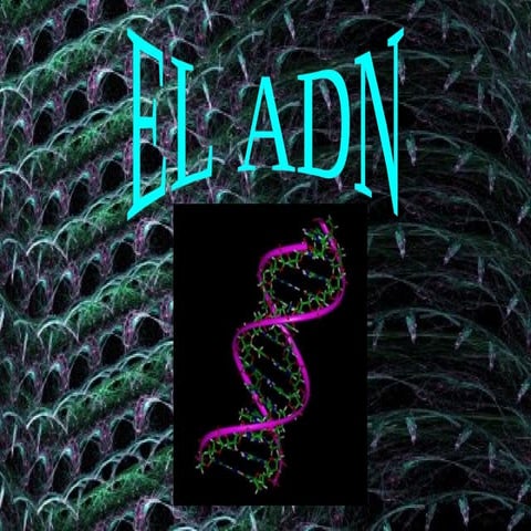Presentación ADN
