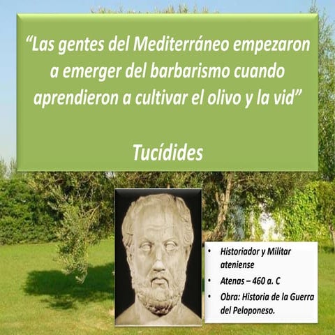 Presentación almazaras y coop.