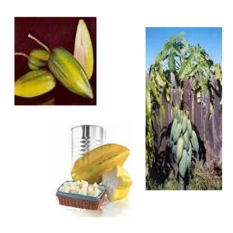 PresentacióN Babaco4all