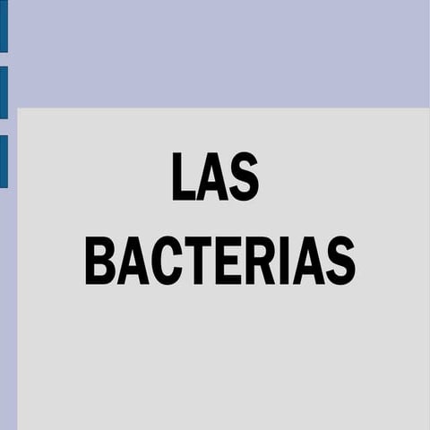 Presentación De Las Bacterias