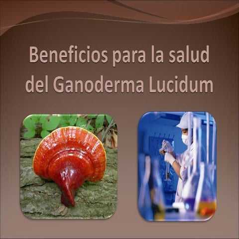 Beneficios Para La Salud Del Ganoderma Lucidum