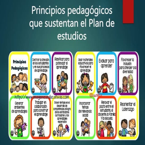 los principios pedagógicos del plan de estudios del 2011 | PPTX