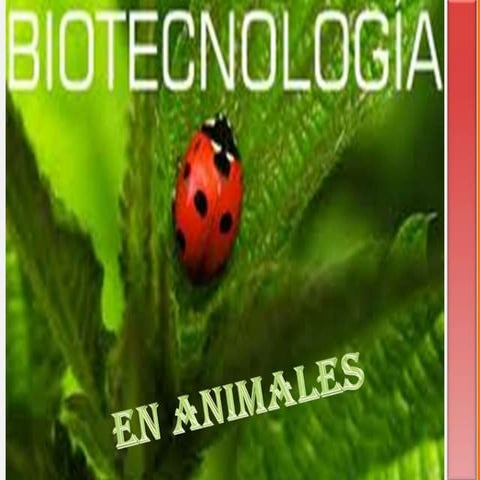 biotecnologia en animales
