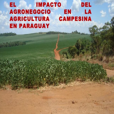 El impacto del agronegocio en la agricultura campesina en Paraguay