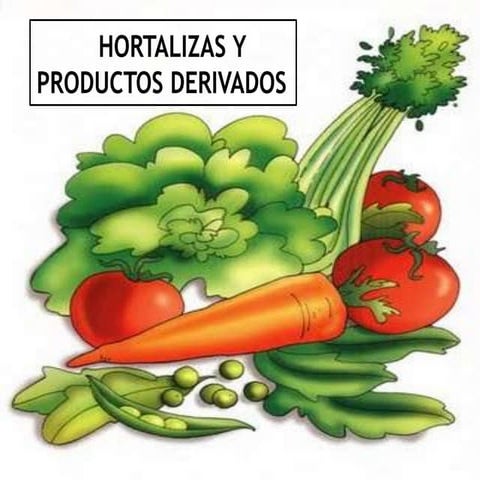 Hortalizas y productos derivados