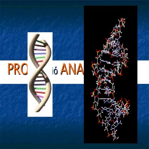 Presentación mitosis y meiosis