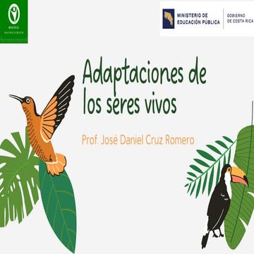 ADAPTACION DE PLANTAS, ANIMALES EN LOS ECOSISTEMAS | PPT