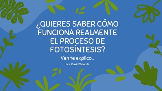 Proceso de la FOTOSÍNTESIS (PASO A PASO)