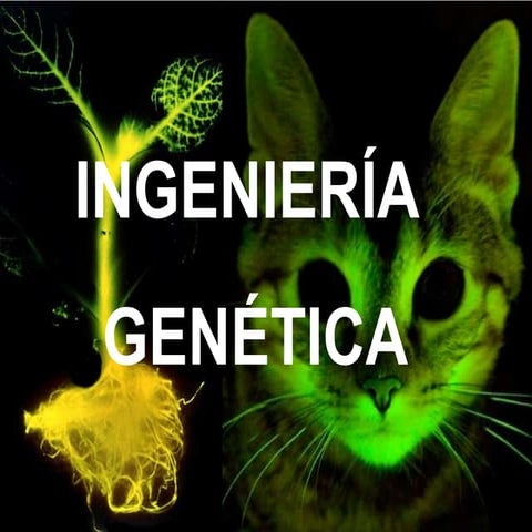 INGENIERÍA GENÉTICA