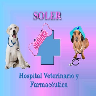 Presentación comercio simulado