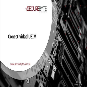 Comprehensive Overview of USIM Connectivity and Network Architecture | PPTX