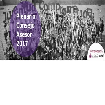 Presentación consejo asesor 2017