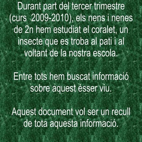 El coralet. Treball de 2n Primària