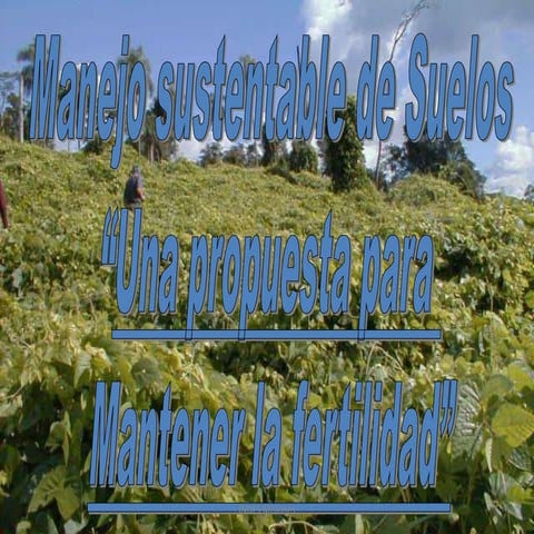 Manejo Y Conservación De Suelos Con Usos De  Cubiertas Verdes. - INDES Misiones