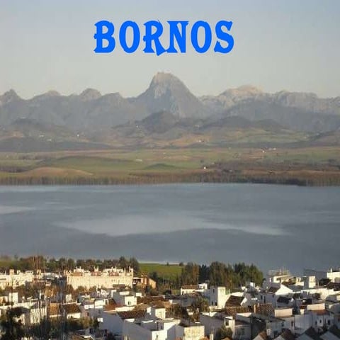 PresentacióN De3 Bornos Bien
