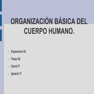 Presentación de anatomía.