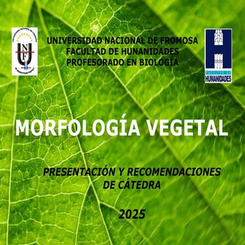 PRESENTACIÓN DE BOTÁNICA.pdf 2025 FH LA 8