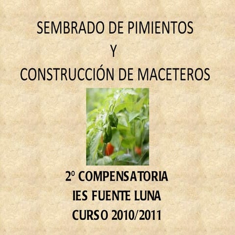 COMPENSATORIA CON SUS MACETEROS Y PIMIENTOS