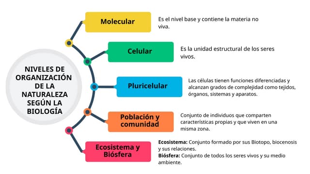 Presentación de gráficos visuales Esquema Mapa Mental Empresa Corporativo Pro...