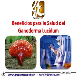 Beneficios del Ganoderma Lucidum en...