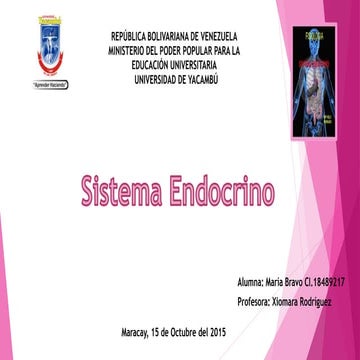 Presentación del Sistema Endocrino | PPTX