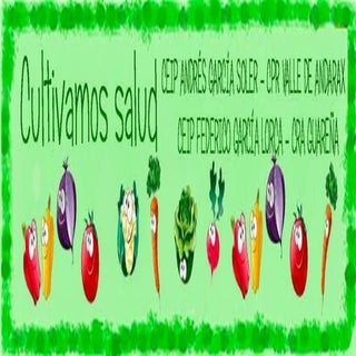 PRESENTACIÓN DE LAS ACTIVIDADES EN ...