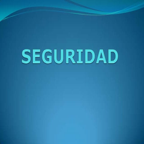 Seguridad