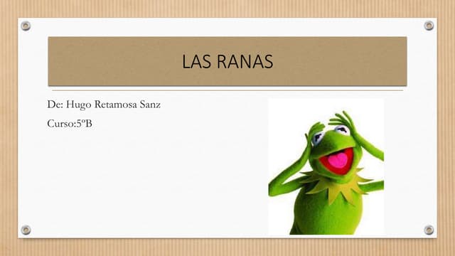 Presentación de ranas y sapos 1 (1)