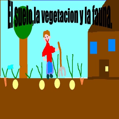 El Suelo, la Vegetación y la Fauna