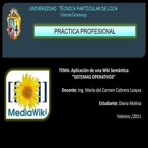 Presentación diana molina_wikisemanticaso