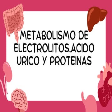 Presentación Diapositivas Cuerpo Humano Órganos Ilustrada Rosa Crema.pdf