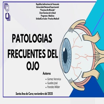 Diapositivas Patologías frecuentes del Ojo