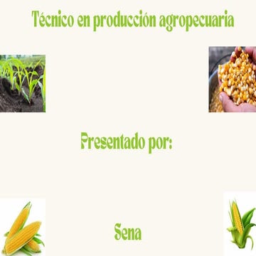 Presentación Diapositivas Proyecto sobre e maiz.pdf