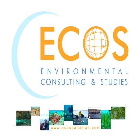 I Premio Joven Empresario con Compromiso Social: "Environmental Consulting & ...