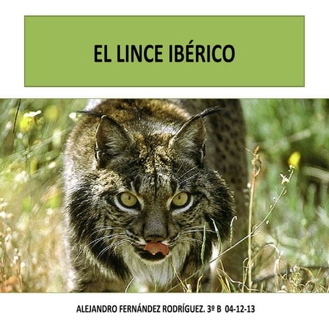 Presentación el lince ibérico