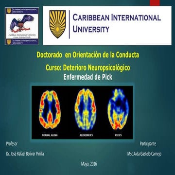 Presentación enfermedad pick