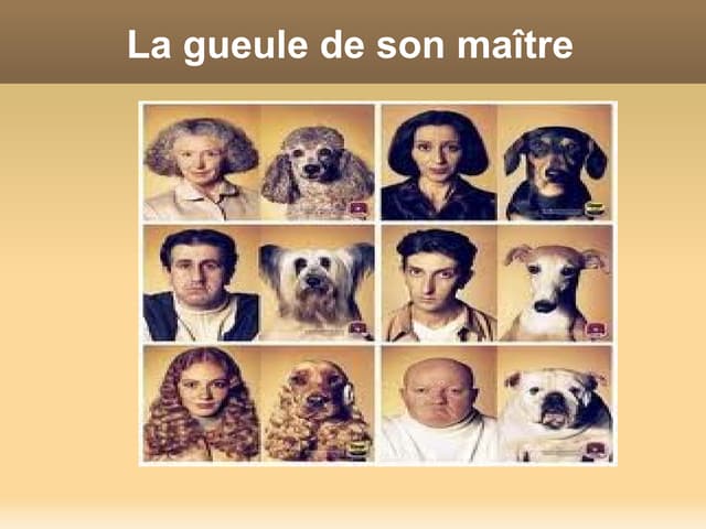 Presentación en power point de una ...