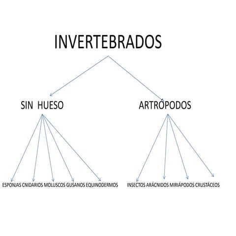 Presentación esquema inver