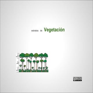 Presentación estratos de vegetación...