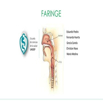 Anatomía de la Faringe | PPTX