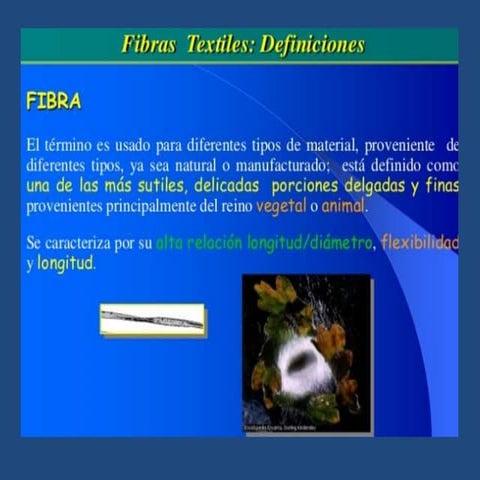 Microscopia de fibras