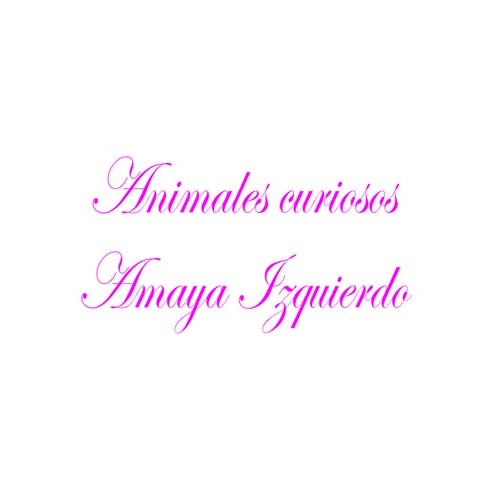 Animales curiosos