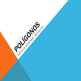 Tipos de Polígonos