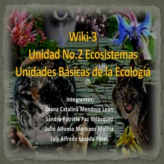 Presentaciòn final grupo wiki 3